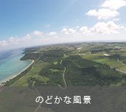 空撮 | 宮古島ののどかな風景